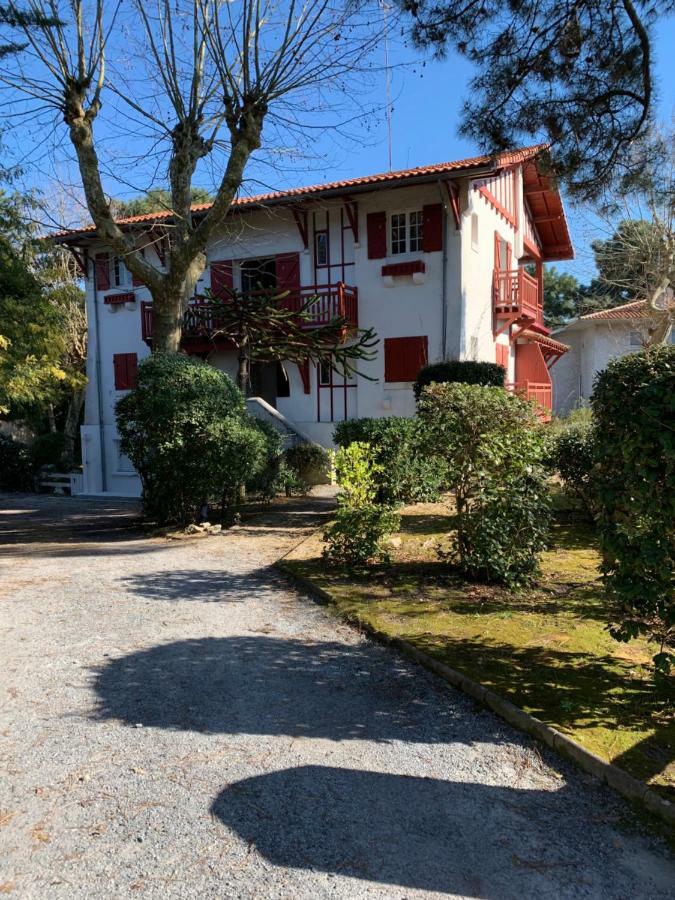 Le Ptit Moulleau Daire Arcachon Dış mekan fotoğraf