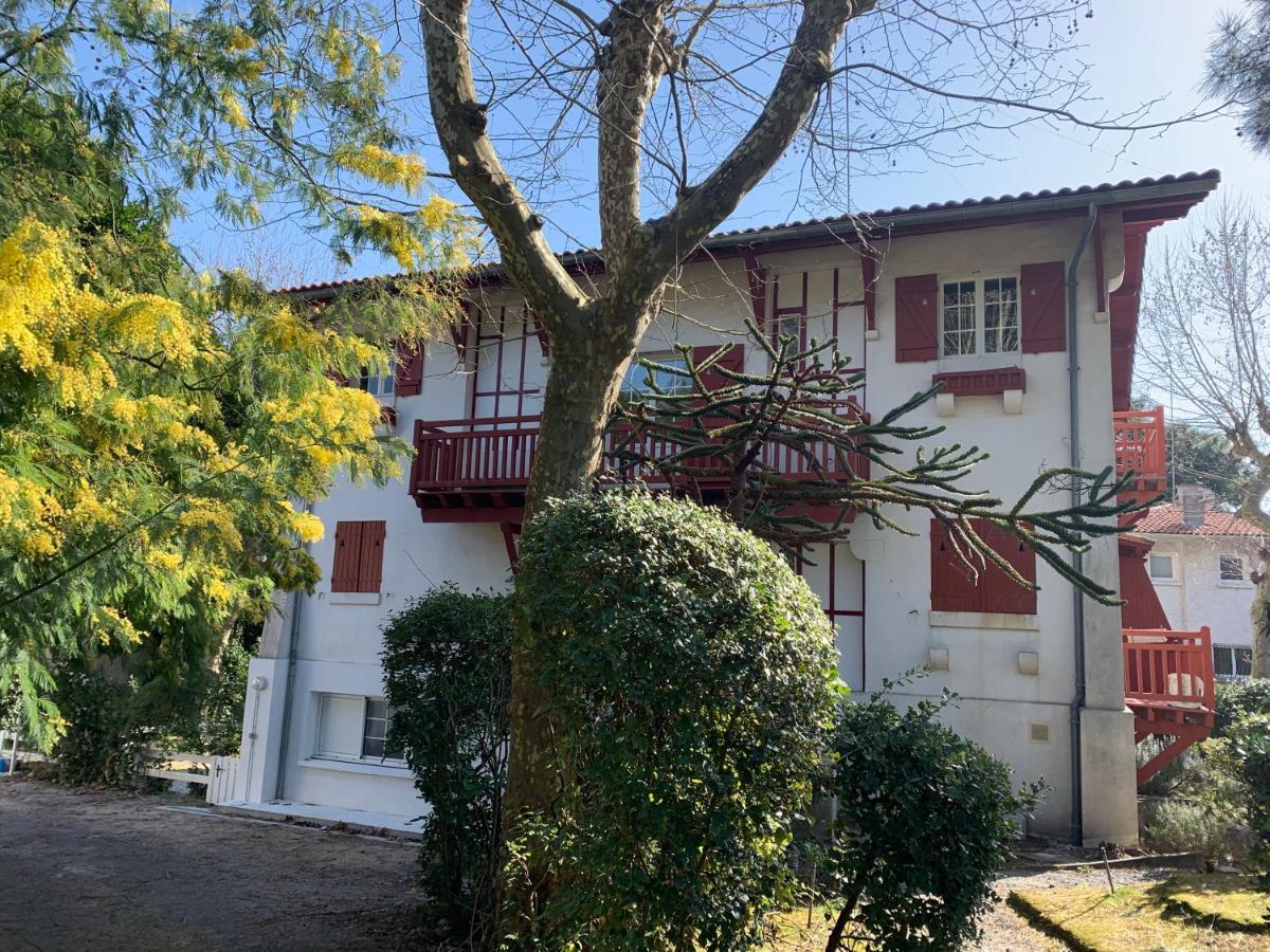 Le Ptit Moulleau Daire Arcachon Dış mekan fotoğraf